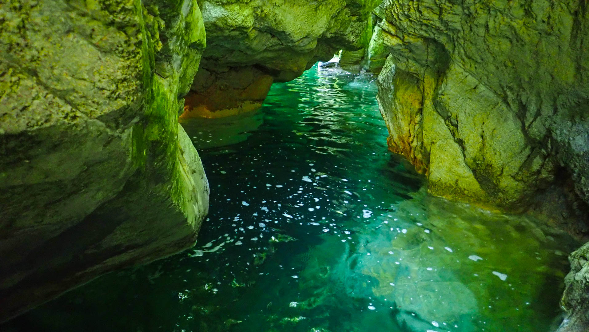 Photo Canyon du Furon (bas) 3